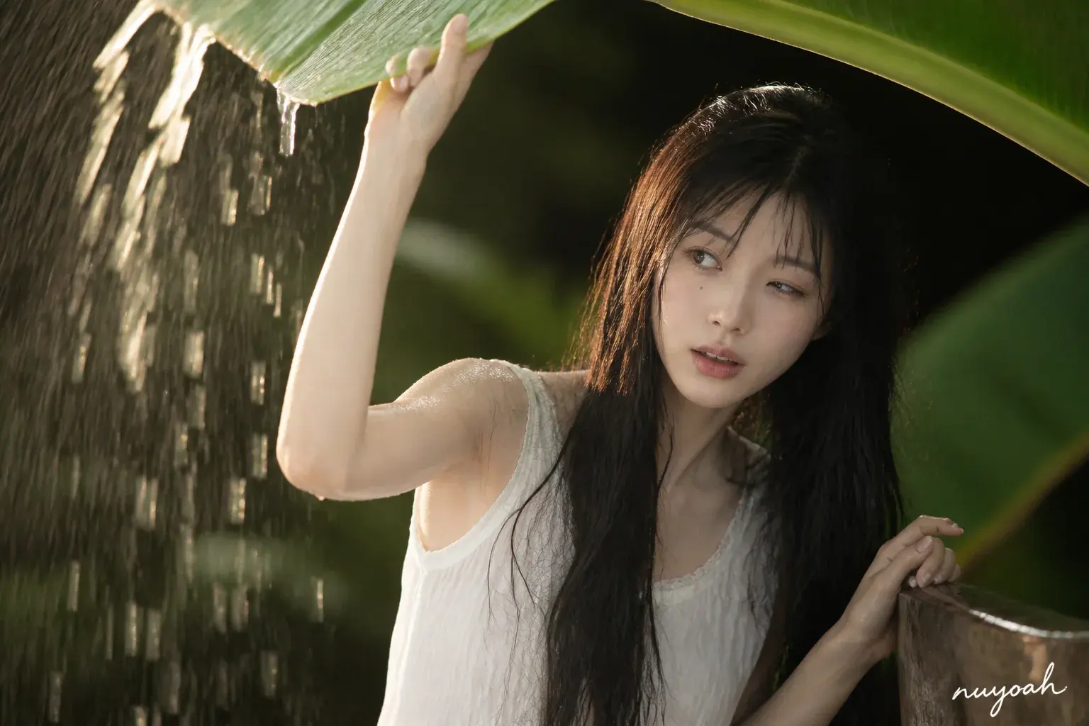 人物托起蕉叶并让雨水倾落的横幅写真